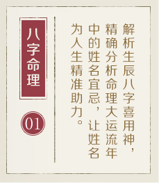 起名大师-起名流程一